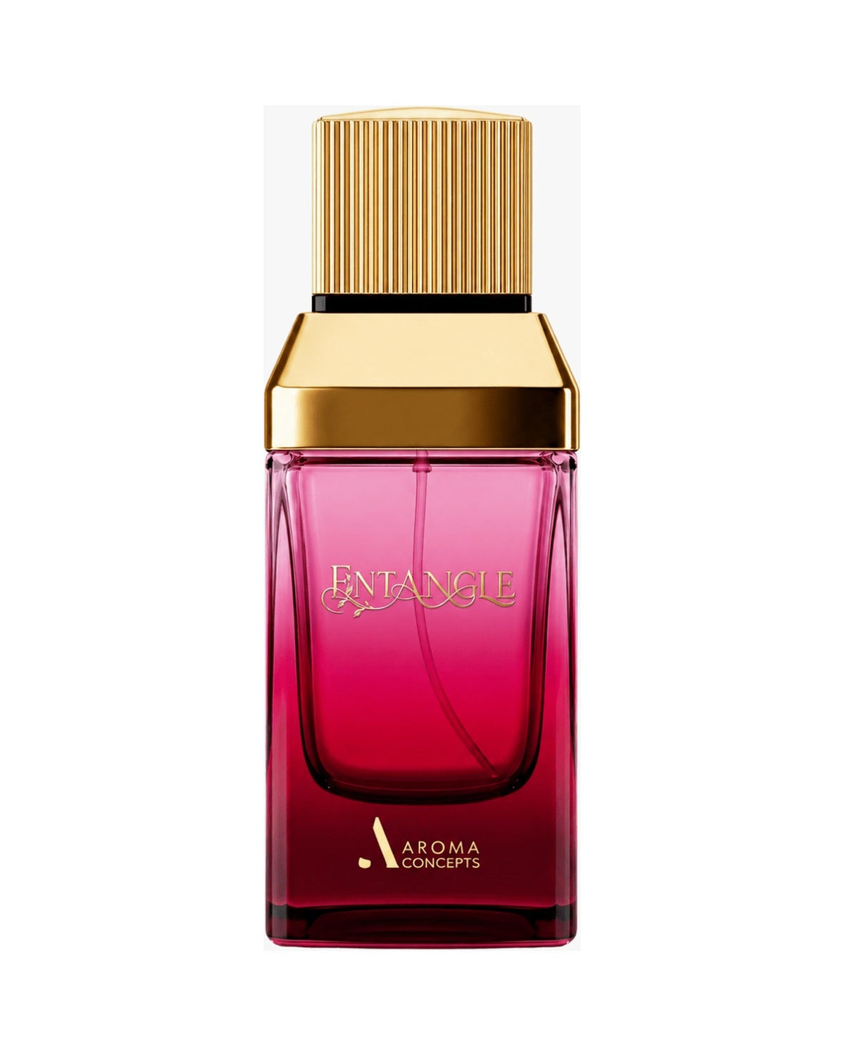 Aroma Concepts Entangle (100ml) - FragranceGems